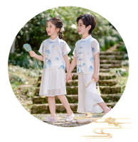 Hanfu Primavera/Verano Estilo infantil Cultura tradicional china Étnico Tang Niños Elegantes Niñas Guzheng Danza Actuación - details 5