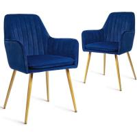Respaldo Ergonómico, Sillas Tapizadas en Terciopelo para Salón, Comedor o Dormitorio, Azul, Espuma, Metal, 2 Unidades - details 0