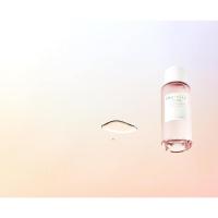 poremizing toner