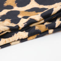 Bañador brasileño Sexy para mujer, conjunto de Bikini con sujetador de realce, traje de baño de dos piezas, ropa de playa de cintura baja, bañador de leopardo - details 45