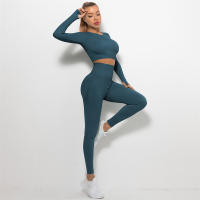conjunto de yoga para mujer sin costuras ropa deportiva de gimnasio con manga larga sujetador de alto cinturón leggings de gimnasio traje deportivo - details 78