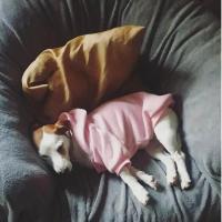 Sudadera con capucha para perros pequeños y grandes, abrigo de viento con cara de perro, chaqueta de Bulldog Francés, ropa cálida - details 4