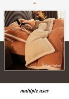 Juego de Ropa de Cama con Forro de Cama Lujo Invierno Cálido Grosor Individual Doble Par Tapete Funda de Edredón Juego de Fundas de Almohada - details 2