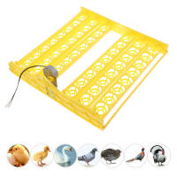 Incubadora automática de huevos de aves biónicas para incubar y criar pollos, patos y gansos - details 5