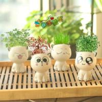 Mini plantas lindas de dibujos animados con forma de cerámica, expresión ETA, gato ETA, decoración de escritorio, pequeños adornos - details 3
