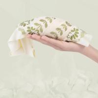 Sujetadores con escote en V profundo y encaje de flores y hojas dulces, copa grande, pechos recogidos, sujetadores push-up sin costuras, lencería resistente a golpes, sujetadores inalámbricos para niñas - details 14