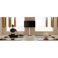 soporte tv ruedas