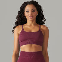 Hamidou-Sujetador deportivo Sexy para mujer, ropa interior deportiva a prueba de golpes, almohadilla extraíble para el pecho, para gimnasio, entrenamiento, Fitness, correr, Tops de realce - details 18