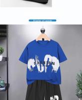 Conjunto de camiseta de manga corta y pantalones cortos de seda de hielo de secado rápido para niños, ropa deportiva - details 6