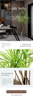 100-160cm Plantas Tropicales Árbol Artificial Grande Hojas de Agave de Plástico Palma Falsa de Interior Planta Grande en Maceta para la Decoración de la Oficina del Hogar - details 0