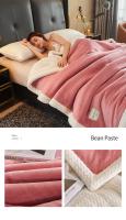 Manta de Invierno Gruesa y Cálida Forro de Cama de Lujo Manta de Sofá Cubierta de Cama Doble para Hogar - details 17