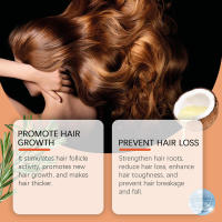 Cabello Nutre y suaviza el cuero cabelludo, aplique una mascarilla de cuidado con aceites esenciales a base de hierbas - details 5