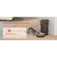 comedero gato automatico