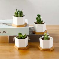 Bandeja de cerámica hexagonal blanca simple europea ETA, contenedor de plantas jugosas, bonsai pequeño ETA - details 0