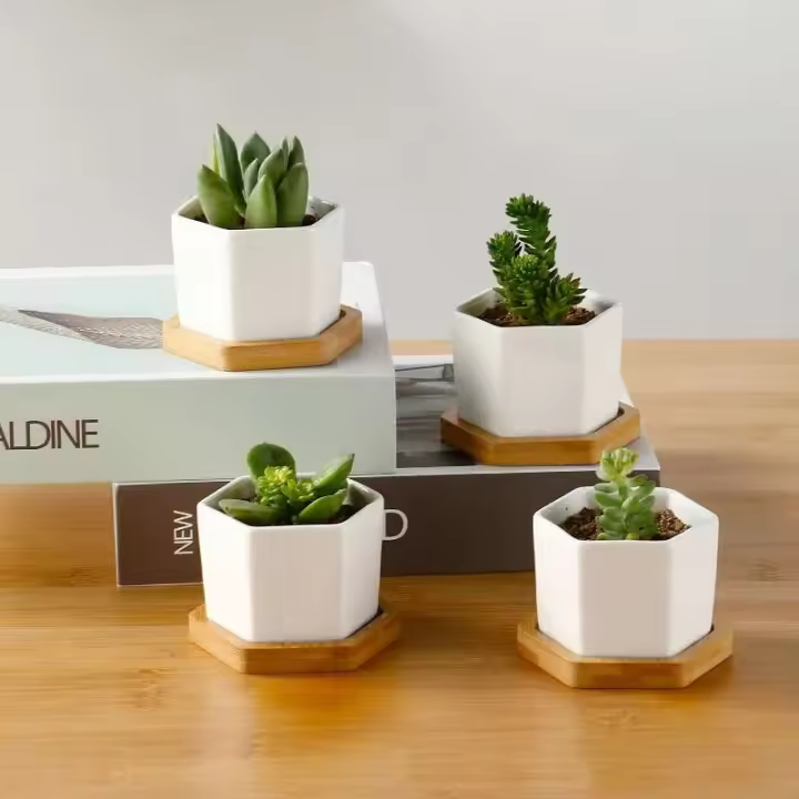 Bandeja de cerámica hexagonal blanca simple europea ETA, contenedor de plantas jugosas, bonsai pequeño ETA - 1