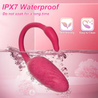 Vibrador inalámbrico con Bluetooth para mujer, masajeador de huevo, estimulador del punto G, Control remoto, bragas para adultos - details 4