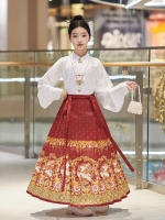 Hanfu para niñas, estilo chino, disfraz Tang para niños con cara de caballo estilo Ming, falda de hada, primavera y otoño, antiguo para niñas - details 7