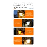 Linterna de Camping portátil Retro, luz de emergencia impermeable, lámpara colgante de tienda regulable continua para senderismo al aire libre - details 1