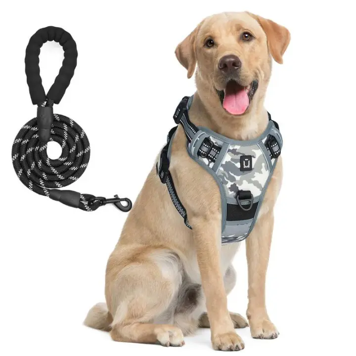 Combo de Perro y Correa, arnés de Chaleco no extensible a prueba de escape, de 5 pies Correa Con, ARN - 1
