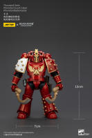 JOYTOY Figura de Acción Horus Heresy Legión de Mil Hijos del Tacticante MK IV - details 40
