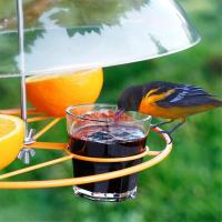 Cubierta protectora para comederos de aves, anti-ardilla cúpula protectora, 2 piezas, protección contra la lluvia - details 3