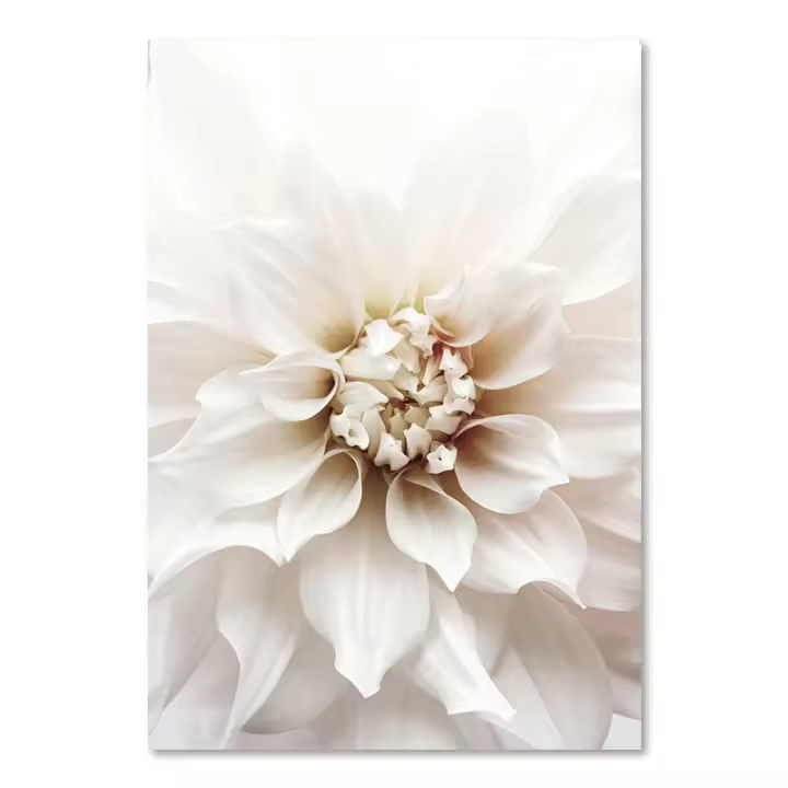 Póster de Rosa Blanca Dahlia Romántico con Hoja de Palma para Decoración de Hogar y Dormitorio Pintura en Lienzo de JUBEER - 1