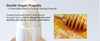 Korean Skincare, Urbanand, Vegan Propolis Ampoule