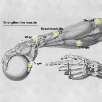 Gyroscope Powerball LED Gyro Power Wrists Ball Arm Exercise Force Strength Training Energyball Home Gym Sports Fitness Equipment - details 3