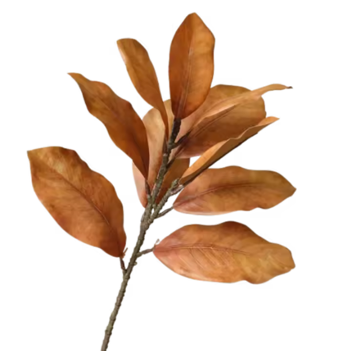 Ramas de hojas de Magnolia artificiales de 57cm, arte Floral realista, planta de Magnolia falsa, tacto Real, plantas verdes simuladas hechas a mano - 1