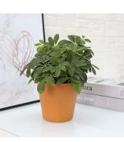 Contenedor de plantas, maceta para exteriores de jardín interior, maceta de plástico para vivero de plantas - details 4