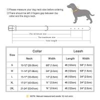 Juego Collar identificación perro cuero personalizado, correa plomo para perros pequeños, medianos y grandes, Pugs de Bulldog - details 0