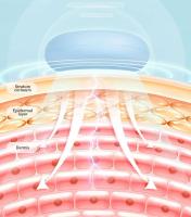 EMS Shaper Masker, dispositivo de eliminación de doble mandíbula para estiramiento facial, adelgazamiento, cinturón de elevación de línea en V, instrumento de belleza para el cuidado de la piel - details 5