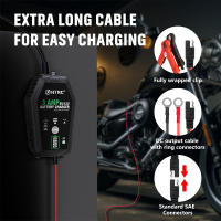 Cargador de batería inteligente automático para baterías de plomo-ácido LiFePO4  6V 12V  3000mA cargador para motocicleta y coche - details 0