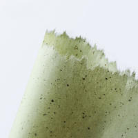 Absorbente Facial portátil, 100 piezas, Control de aceite de papel, toallida, hoja de té verde, grasa, manchas, estera - details 3