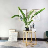 Higo: ramas de plantas artificiales, hojas de plástico falsas de dinero, árbol de banyan verde para el hogar, dormitorio, decoración de tienda de jardín - details 3