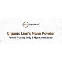 Micro Ingredients Polvo de suplemento de hongo de melena de león orgánico, superalimento natural de 16 onzas para la salud del cerebro, la energía y el sistema inmunológico | - details 0