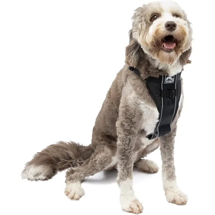 Kurgo Tru-Fit, Arnés de Paseo para Perros, Resistente a Impactos, Incluye Correa para Cinturón de Seguridad, Negro, L - 1