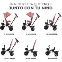 Bicicleta Plegable para Niños Triciclo Evolutivo sin Pedales 9 Meses de Uso 25kg Rosa - details 1