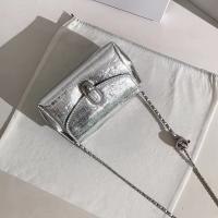 Bolso de cadena plateado, nueva moda, bolso de hombro tipo bandolera para mujer, bolso cuadrado pequeño para ir al trabajo - details 0