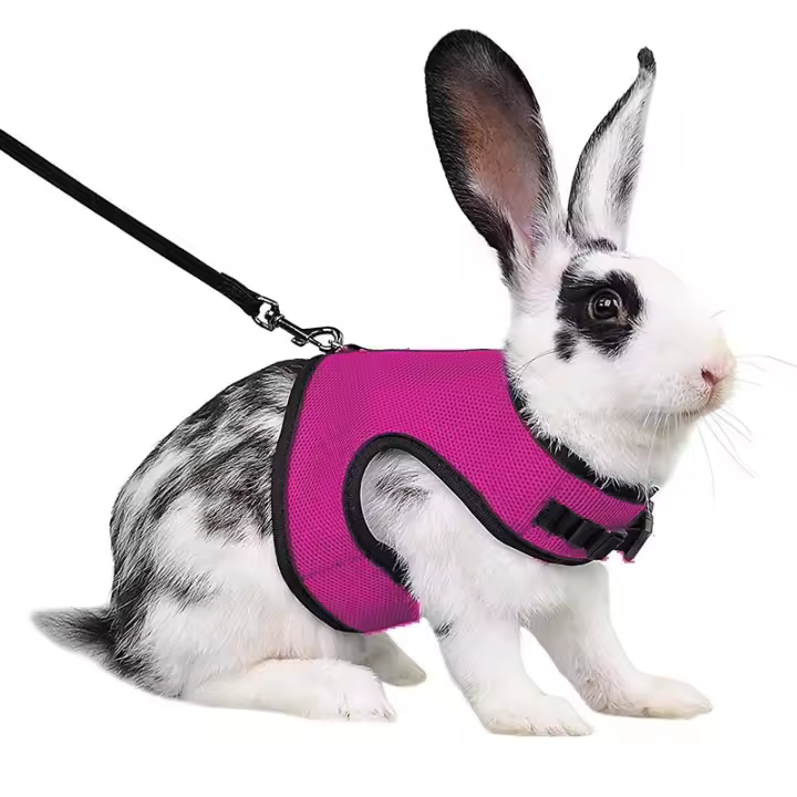 Correa y Arneso Suave Ajustable para Mascotas Pequeñas Vestido Respirable para Conejos, Ferretas, Cobayas Suministros para Mascotas - 1