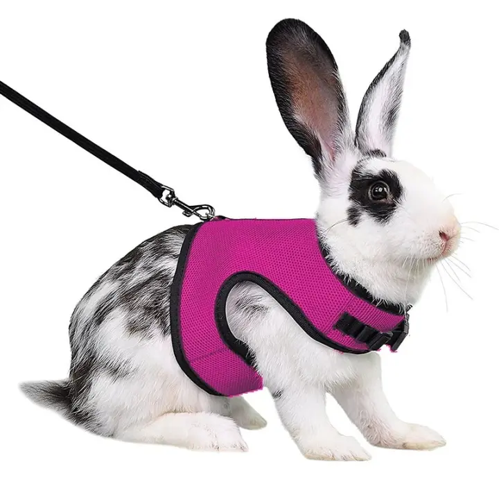 Correa y Arneso Suave Ajustable para Mascotas Pequeñas Vestido Respirable para Conejos, Ferretas, Cobayas Suministros para Mascotas - 1