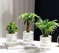 Planta de estilo minimalista para interior y jardín, maceta jugosa para exteriores, maceta autocebante, plan colgante de plástico para balcón - details 7