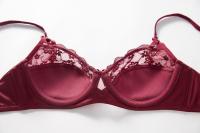 Conjunto De Sujetador Y Bragas Para Mujer En Talla Grande Con Borde De Encaje Brillante Sexy Muy Ajustado Con Anillo De Acero Suave Soporte Para Pechos Grandes - details 10