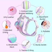 Conjunto de arnés y correa ajustable para perro, chaqueta de malla suave acolchada para gato, arnés transpirable con cuerda de tracción, juego de correa y collares para perro - details 1