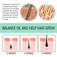 El romero nutre suavemente ilumina el cabello, hidrata y suaviza el aceite esencial para el cuidado del cabello - details 5