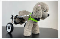 Silla de ruedas para perros con discapacidad, elevador de extremidades traseras para mascotas, carrito de aleación de aluminio, Osito de pelo dorado, asistencia para piernas traseras, soporte para ejercicio, andador - details 8