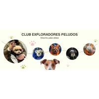 ALLSOPETS