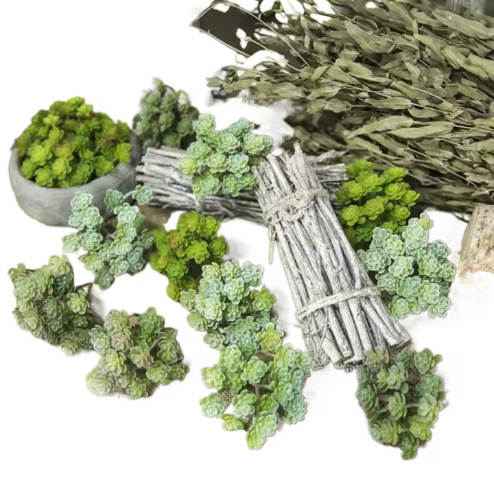 Mini planta de Cactus Artificial de 24 cabezales, planta suculenta Artificial de tacto Real de plástico, decoración de micropaisaje realista - 1