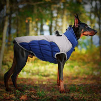 Chaqueta de Perro Impermeable Ropa de Mascota para Invierno para Perros Medianos y Grandes - details 5