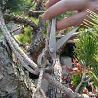 Cortauñas De Acero Inoxidable 18cm Herramientas De Jardinería Para Modelado De Paisajismo Y Bonsái Accesorios De Jardín - details 1